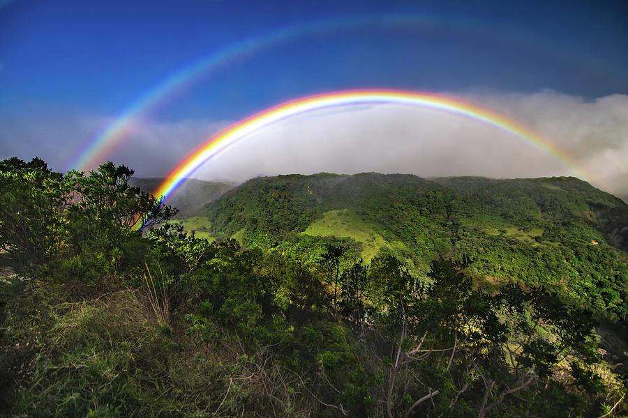 Rainbow Photograph - Monteverde End of the Rainbow by Norma Brandsberg