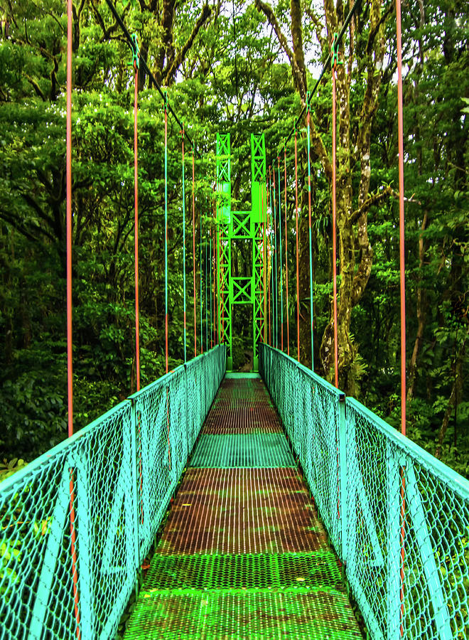 Monteverde Rainbow Bridge Photograph by Norma Brandsberg