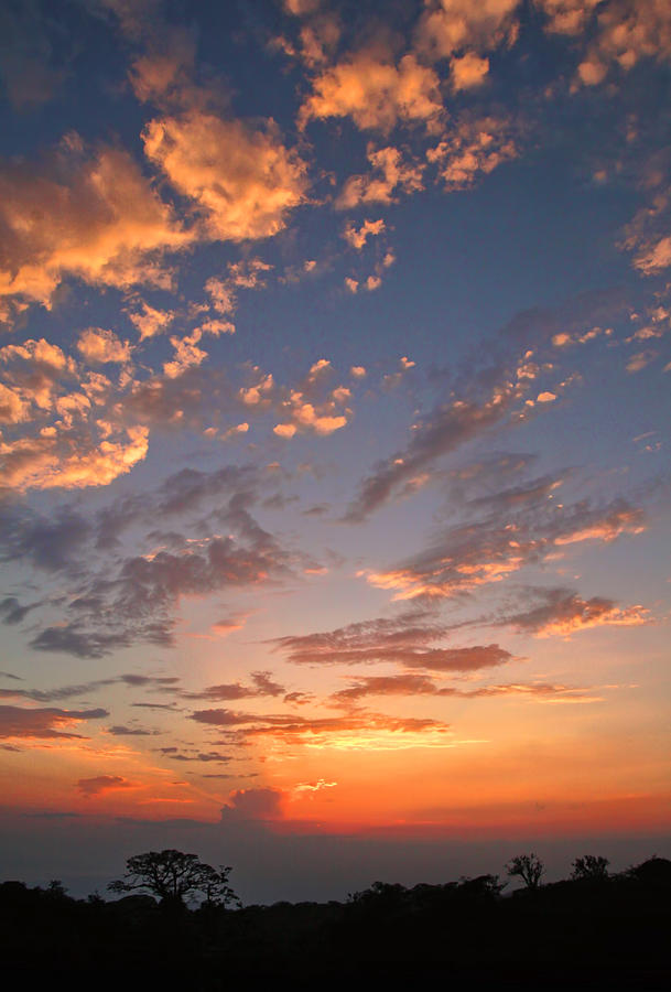 Monteverde Sunset Photograph by Carolyn Derstine