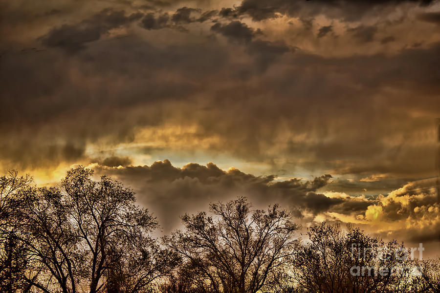 Montrose Sunset Photograph by Steven Parker