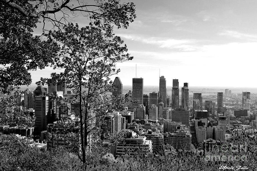 Montreal In Black And White Photograph by Elfriede Fulda