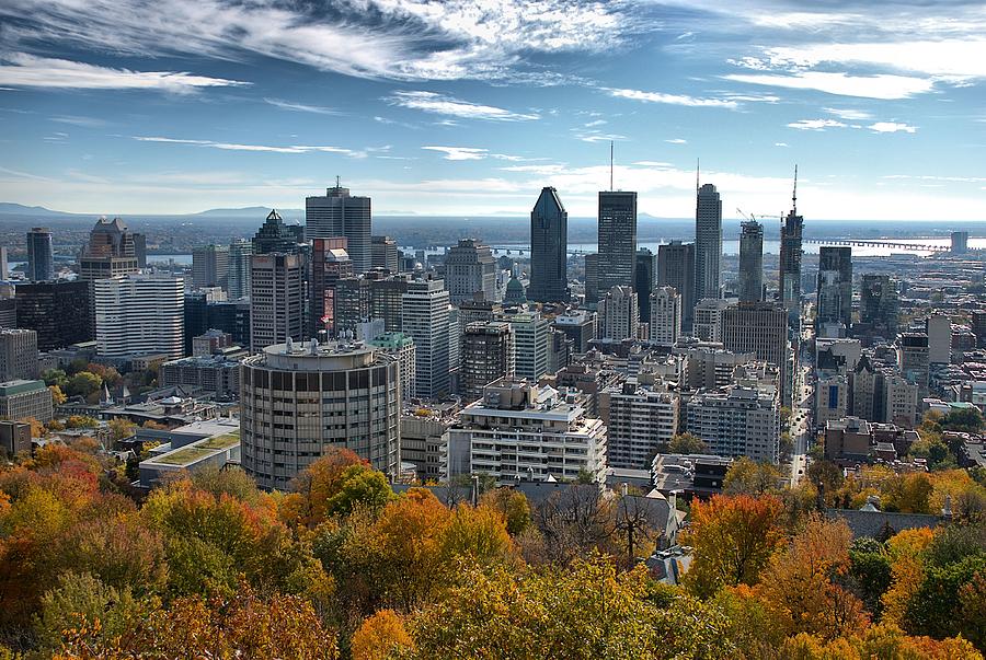 Montreal Skyline and Foliage Photograph by Steven Richman