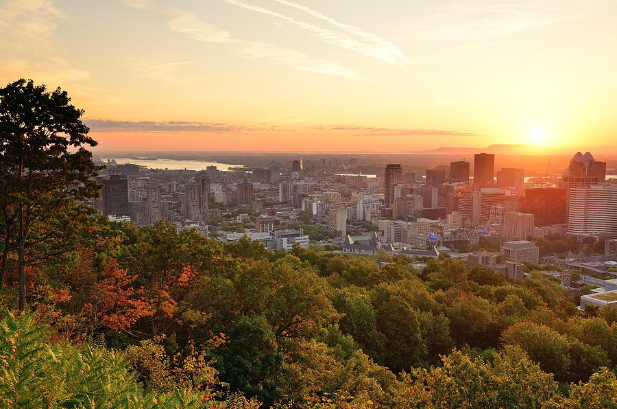 Montreal sunrise viewed from Mont Royal with city skyline in the Photograph by Songquan Deng