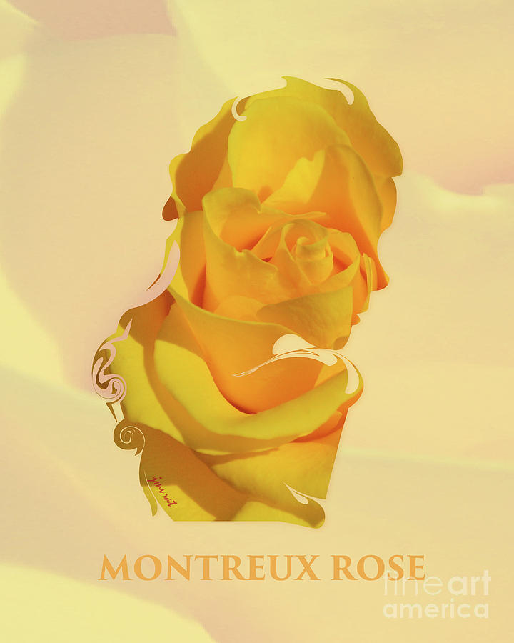 Montreux Rose, M12 Digital Art by Johannes Murat