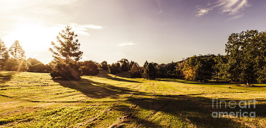 Montville afternoon landscape Photograph by Jorgo Photography