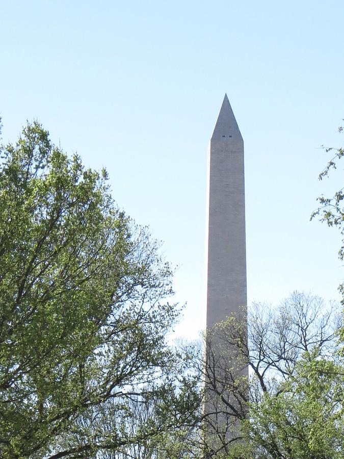 George Washington Photograph - Monument in the trees by Aaron Martens