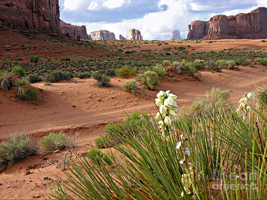 Monument Valley #14 Photograph by Tom Griffithe