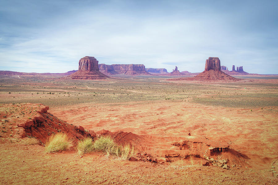 Monument Valley Artists Grove Photograph by Ray Devlin