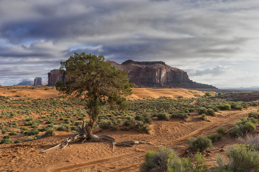 Movie Photograph - Monument Valley AZ DSC03369 by Greg Kluempers