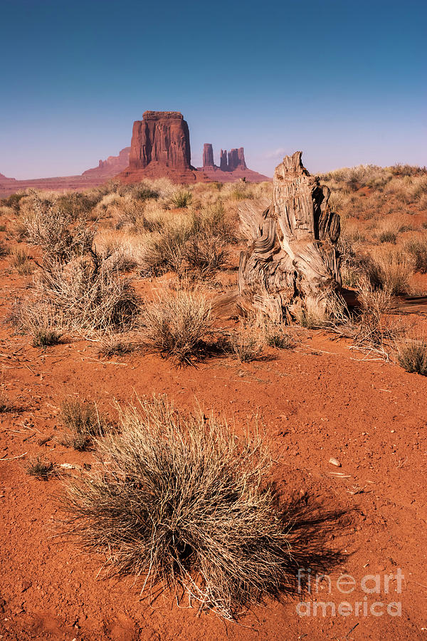 Monument Valley Buttes and Desert Photograph by Philip Preston