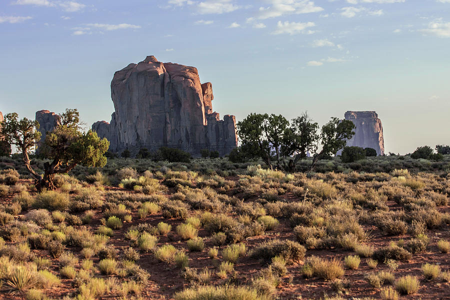 Monument Valley Field Photograph by John McGraw