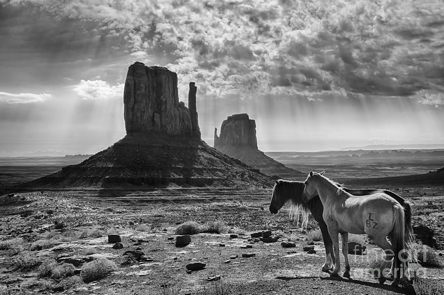 Horse Photograph - Monument Valley Horses by Priscilla Burgers