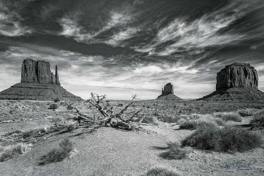Monument Valley Photograph by Lou Novick