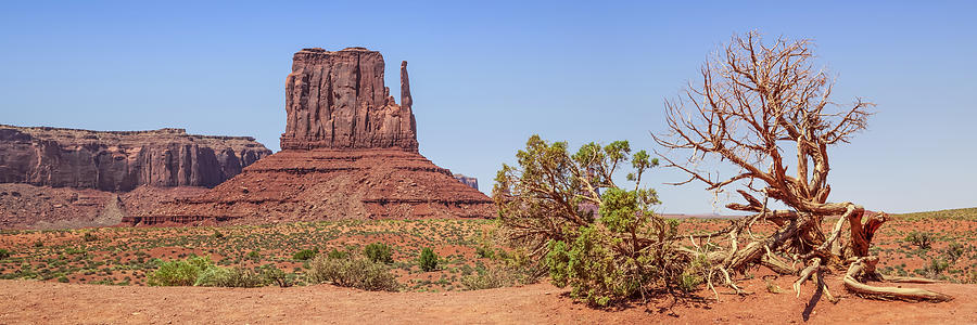 Nature Photograph - Monument Valley Panoramic View by Melanie Viola