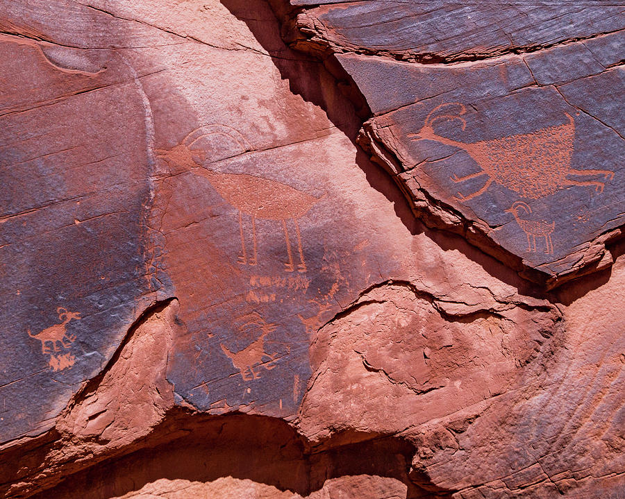Monument Valley Petroglyphs Photograph by Joe Kopp