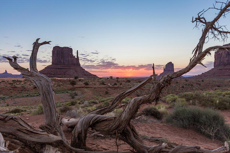 Monument Valley Sunrise with wood  Photograph by John McGraw