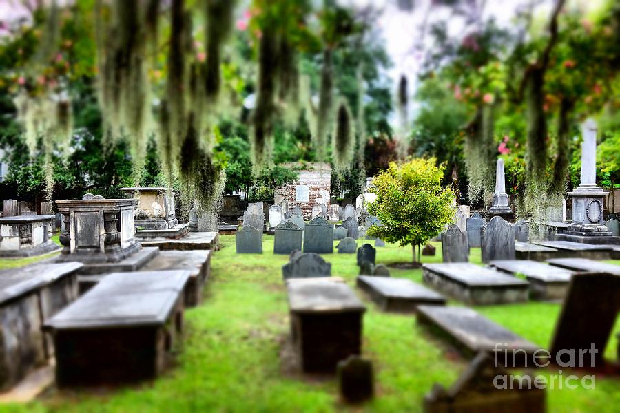 Monuments and Spanish Moss Photograph by Anthony Ackerman Pixels