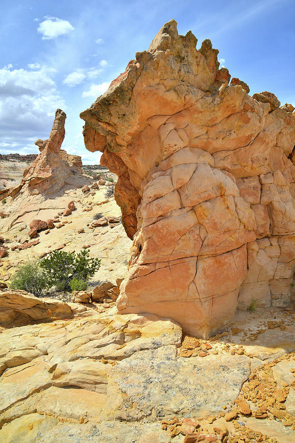 Monuments of Escalante Photograph by Ray Mathis