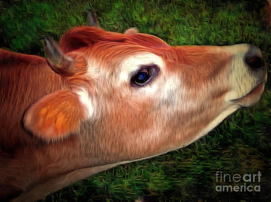 Moo - Jersey Cow Photograph by Janine Riley