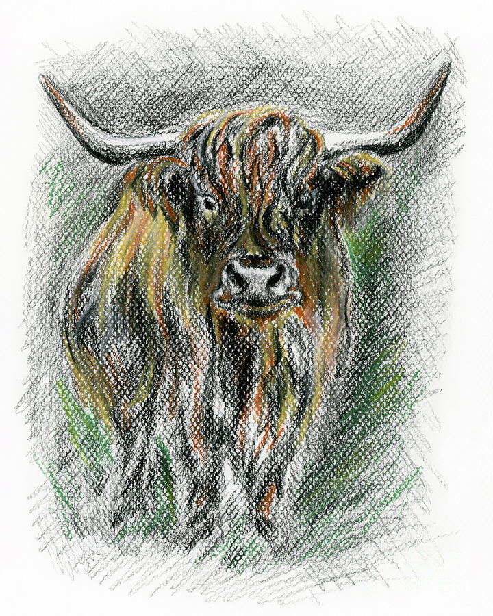 Moo Drawing by MM Anderson