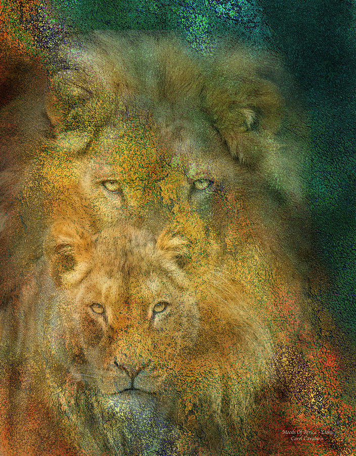 Moods Of Africa - Lions Mixed Media by Carol Cavalaris