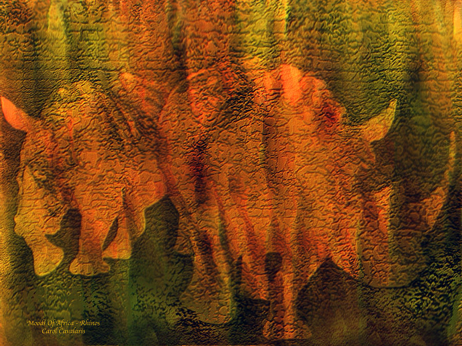 Moods Of Africa - Rhinos Mixed Media by Carol Cavalaris