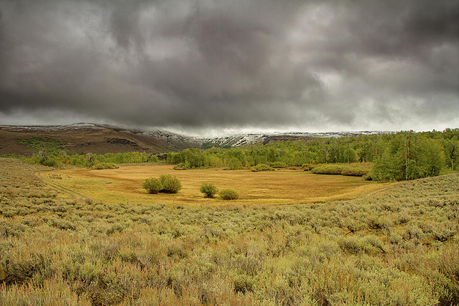Moods of the Steens Photograph by Kunal Mehra