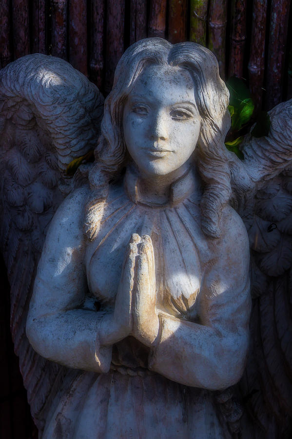 Moody Angel Statue Photograph by Garry Gay
