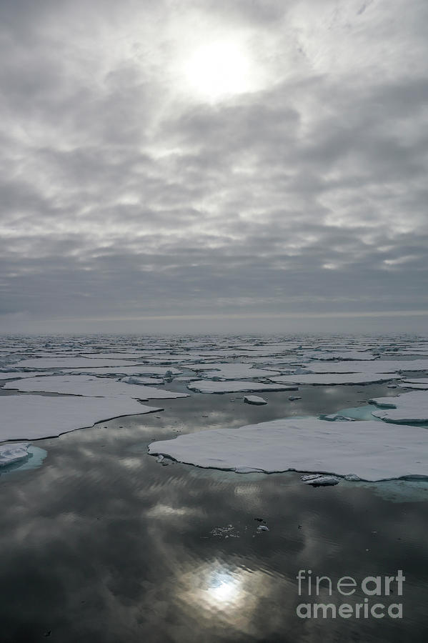 Moody Arctic Photograph by Brian Kamprath