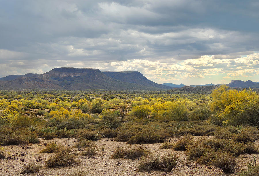 Mountain Photograph - Moody Arizona by Gordon Beck