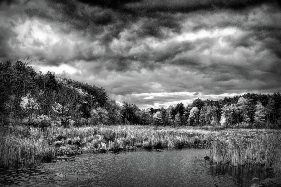 Moody black and white landscape Digital Art by Lilia S