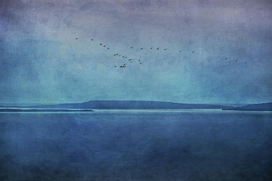 Moody  Blues - A Landscape Photograph by Andrea Kollo