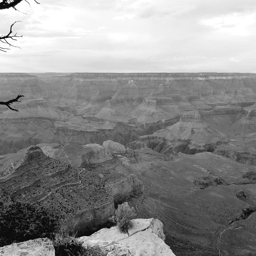 Moody Canyon Photograph by Sarah Marie - Fine Art America