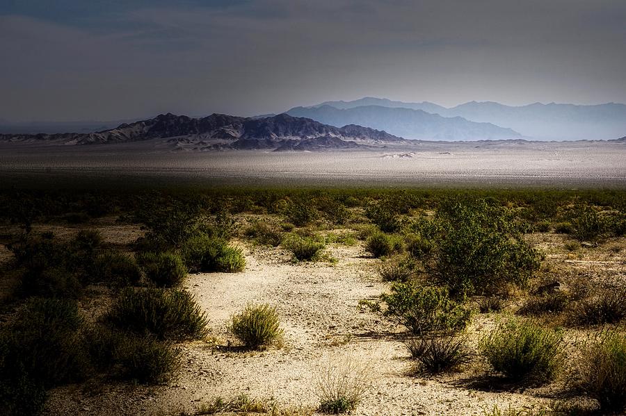 Moody Desert Photograph by Kim Grosz - Pixels