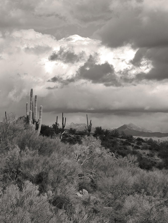 Moody Desert Skies Monochrome Photograph by Gordon Beck