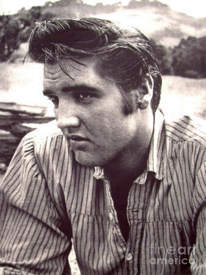 Elvis Presley Photograph - Moody Elvis by Pd