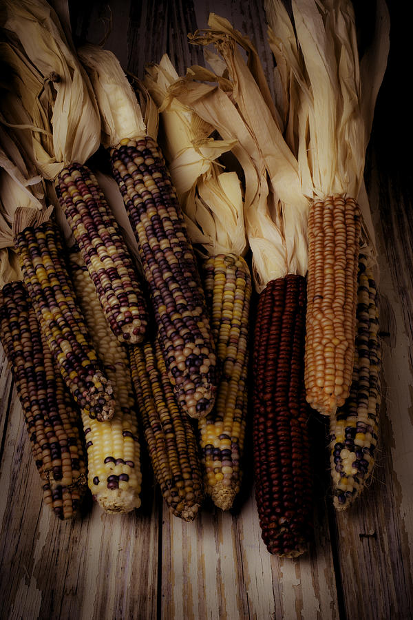 Fall Photograph - Moody indian Corn by Garry Gay