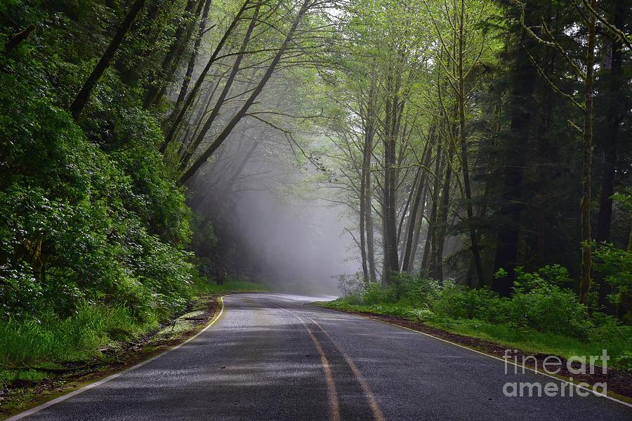 Moody, Misty Road Photograph by Bruce Chevillat