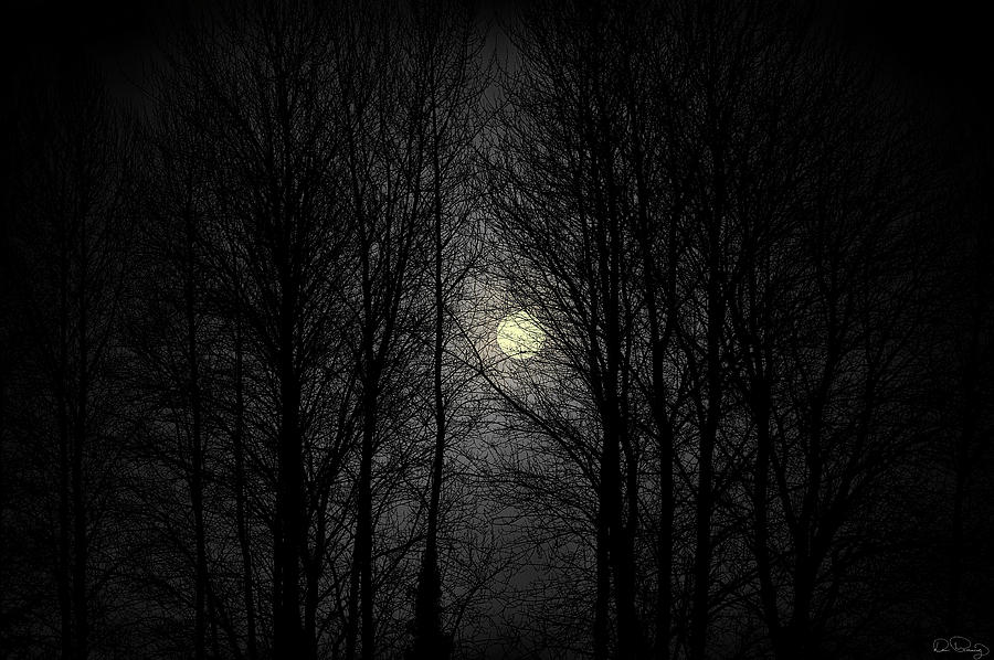 Moody Moon Photograph by Dee Browning