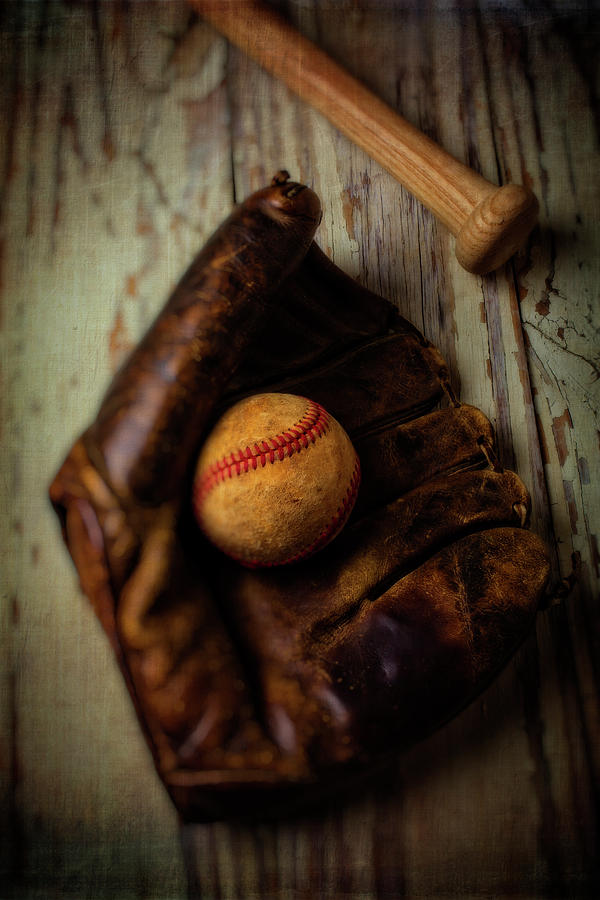 Moody Old Mitt With Bat Photograph by Garry Gay