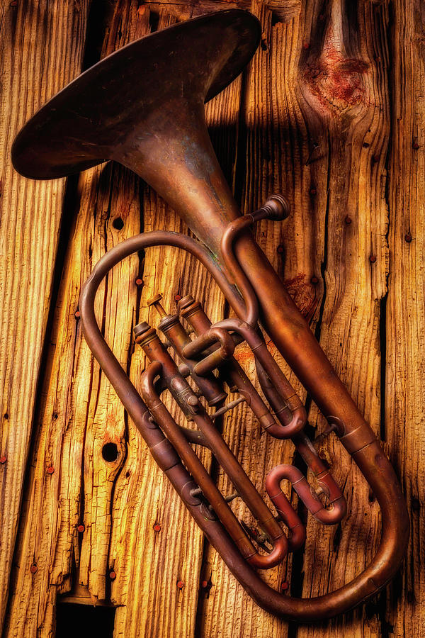 Music Photograph - Moody Old Tuba by Garry Gay