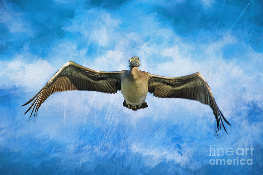 Moody Pelican Painting by Deborah Benoit