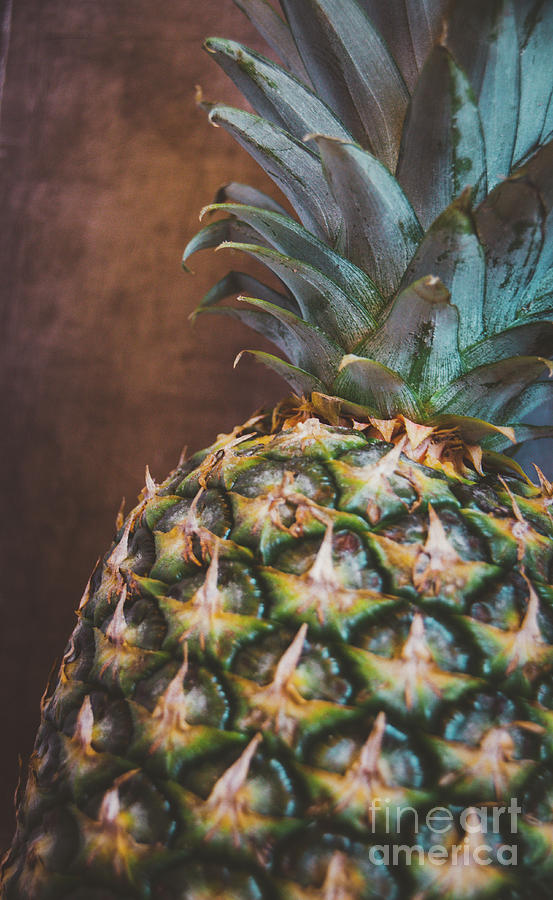 Moody Pineapple Photograph by Andrea Anderegg