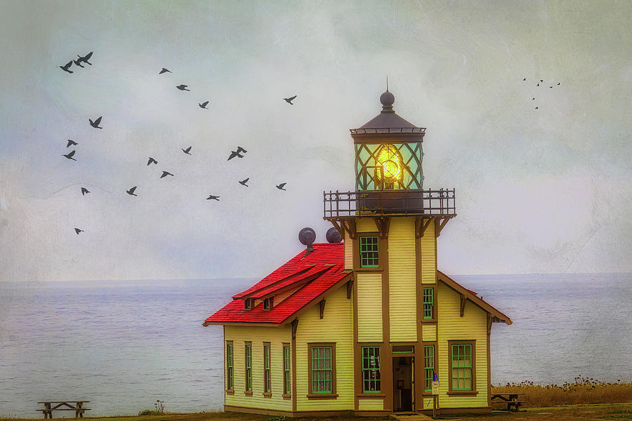 Moody Point Cabrillo Light Station Photograph by Garry Gay