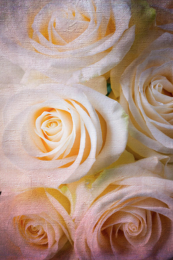 Moody Textured White Roses Photograph by Garry Gay