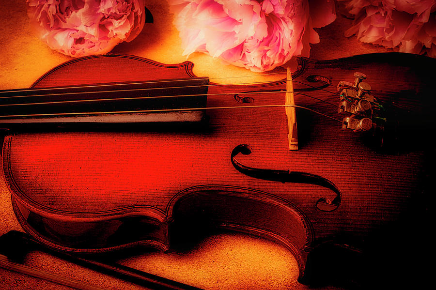 Moody Violin With Peonies Photograph by Garry Gay