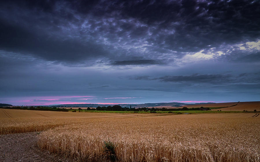 Moody Wheat Field Sunset Photograph by Framing Places