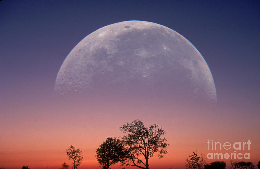 Moon & Sunrise Photograph by Larry Landolfi