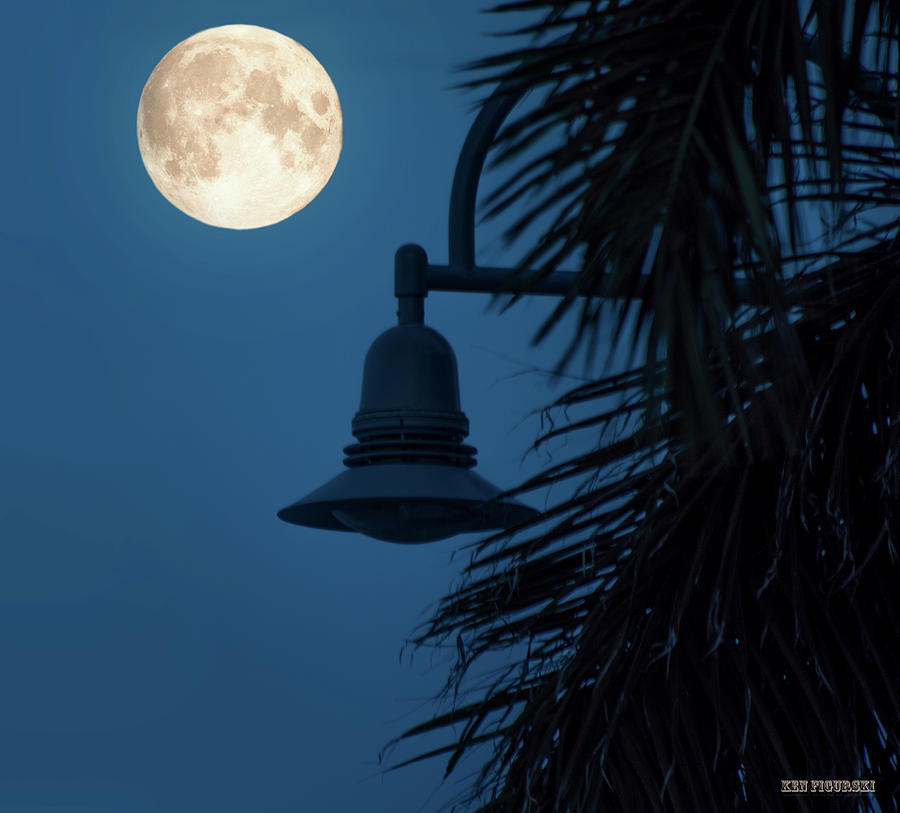 Moon And A Lamppost Photograph by Ken Figurski