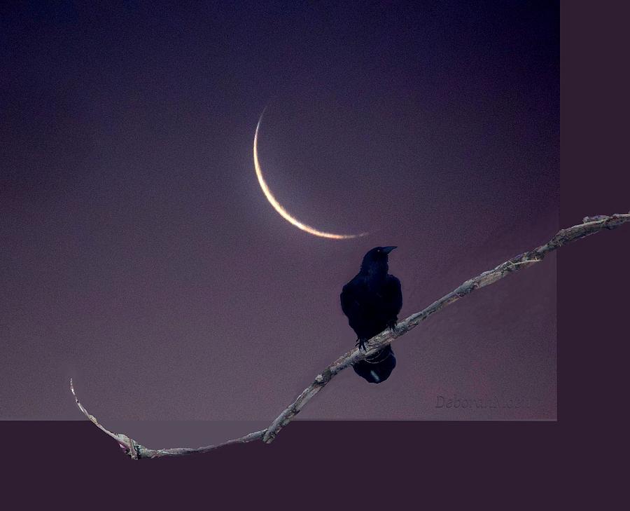 Raven Photograph - Raven Under Crescent Moon by Deborah Moen